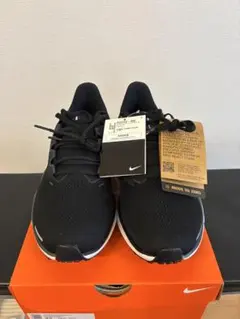 Nike Air Zoom Pegasus 41