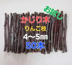 26477☆かじり木(お試し) りんご枝 7～8㎜ 35本 - メルカリ