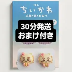 映画 ちいかわ 人魚の島のひみつ 入場者特典 第5弾 ひみつ本