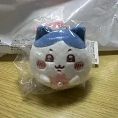 Item thumbnail for item d7ee63f2-fed3-4663-addb-cd02c3475357