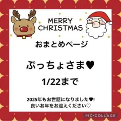 ぷっちょさま♥️リクエスト 5点 まとめ商品