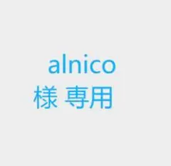 alnico 様 専用