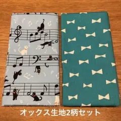 オックス生地　布　ハギレ　2柄セット