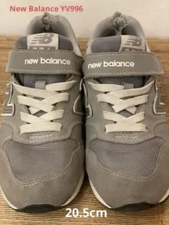 Item thumbnail for item 0653feb3-2697-4882-b49f-735b703ff304