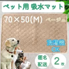 Item thumbnail for item da4ea4c4-8704-42e8-ae73-d1cc1857267f