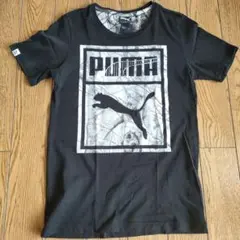 PUMA ブラック Tシャツ
