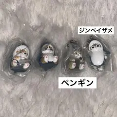 모프샌드 메지루시 액세서리 2 상어 A 상어 B 고래 상어 펭귄