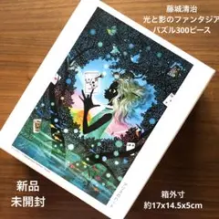 藤城清治 【Aliceのハート】 ジークレー キャンバスエディション 証明書有り 藤城清治 【Aliceのハート】 ジークレー キャンバスエディション