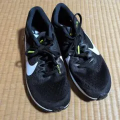 Nike　ズームストリーク6 25.0cm