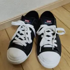 Item thumbnail for item 4de31b84-32fd-4ca0-8f73-8d66ed03a1d7