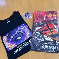 稲葉浩志 enⅢ タオル en-ball Tシャツ - メルカリ