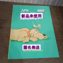 新品・英語絵本・Are You My Mother