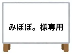 みぽぽ。様 リクエスト 2点 まとめ商品