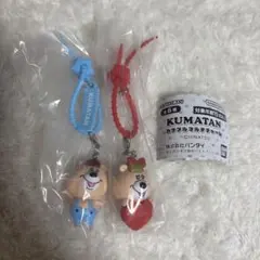 クマタン KUMATAN カラフルマルチチャーム　2種セット