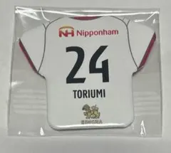 Item thumbnail for item 58ddbc7a-7a56-4ba9-88af-9113044e46f6