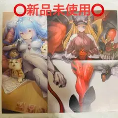 ⭕️新品未使用⭕️ エヴァンゲリオン ポスター アスカ　レイ　2枚セット　①