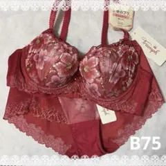 トリンプ　天使のブラ＆ショーツ　B75　新品　匿名配送　レッド系