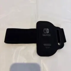 Switch純正レッグバンド