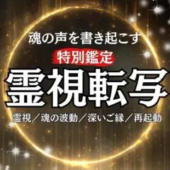 前世 未来 オーラ トリセツ 恋愛 専用 1日５名様限定価格　占い　鑑定　霊視