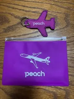 Item thumbnail for item b4a6dab2-1489-413e-913f-2075e59b64a2