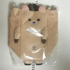 RIIZE 東京ドーム　グッズ　ペンライトバッグ　ソンチャン