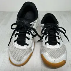 Item thumbnail for item fc79fa99-0a37-4f15-a625-f245a51120d3