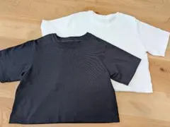 コットン ショート丈 半袖 Tシャツ 2枚セットのサムネイル