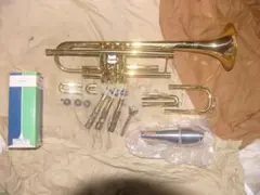 Item thumbnail for item ea269b63-b0d8-4356-9b1f-66c5c045f679