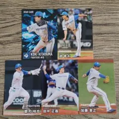 北海道日本ハムファイターズ 2026プロ野球チップスカード 5枚セット