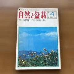 Item thumbnail for item 457014aa-aa6c-4f0e-9cfd-e9d2961539d4