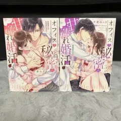 オフィスで秘密の甘濡れ婚活 上 下