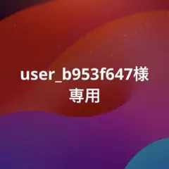 user_b953f647様 リクエスト 6点 まとめ商品
