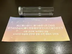 スキズ　ワールドツアー　京セラドーム　大阪　スローガン　Stray Kids