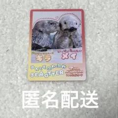鳥羽水族館 コレクションカード vol.2 ラッコ キラ メイ - メルカリ