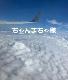 ちゃんまちゃ様