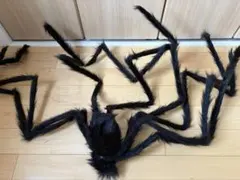 蜘蛛のぬいぐるみ