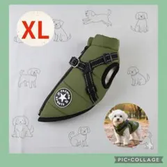 Item thumbnail for item 46d6deff-b616-4c1f-ae7c-81e34eaba129