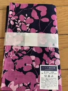 Item thumbnail for item 548d90c1-921e-41a7-9efc-d590afd20408