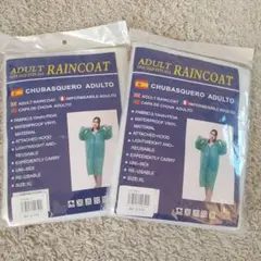 Item thumbnail for item 2c827e6d-5a06-46b6-9f09-5b8037c22b4e