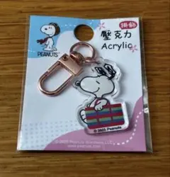 台湾 スヌーピー アクリルキーホルダー SNOOPY ご当地 PEANUTS