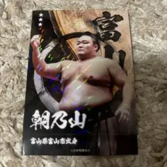 大相撲　朝乃山直筆サインカード 大相撲 朝乃山直筆サインカード 2025年最新】大相撲カード 朝