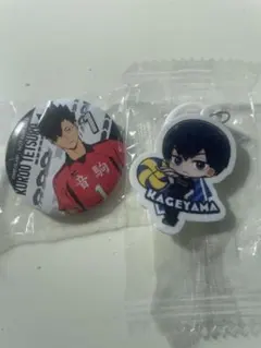 黒尾鉄心・影山飛雄 缶バッジ・めじるしチャームセット
