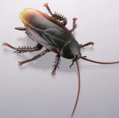 Item thumbnail for item 1e80dd98-0734-4ffe-969e-d83eb5667929