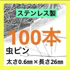 [184] 약 100개의 스테인리스 스틸 곤충 핀 (핀, 압핀, 푸쉬 핀, 실크 핀)