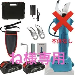 Item thumbnail for item 675ecf0f-8e15-47bf-bbed-f2b45cbb1f6e