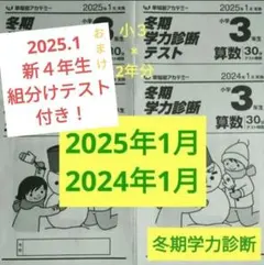 2025年最新】早稲田アカデミー 小3の人気アイテム - メルカリ