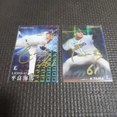 埼玉西武ライオンズ　平良海馬選手　サインカード２枚