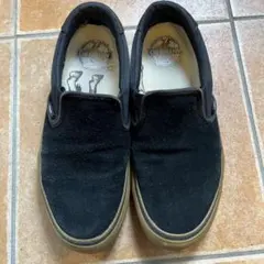 Vans スリッポン　antihero アンタイヒーロー