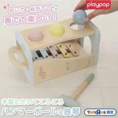 【新品未使用】 木製たたいてころころハンマーボール&鉄筋 トイザらスのサムネイル