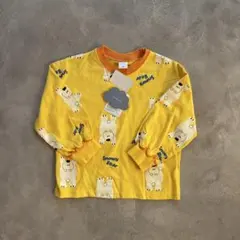 Item thumbnail for item ec59bf1f-1263-4980-abf6-91f62ceffeb1